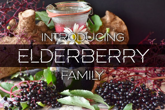 Elderberry Font for Creative Makers
