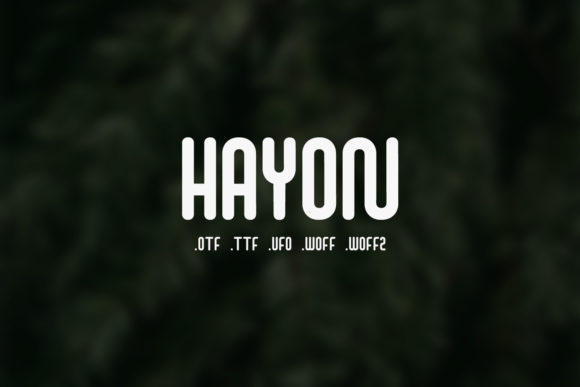 Hayon: A Premium Display Font for Business Branding
